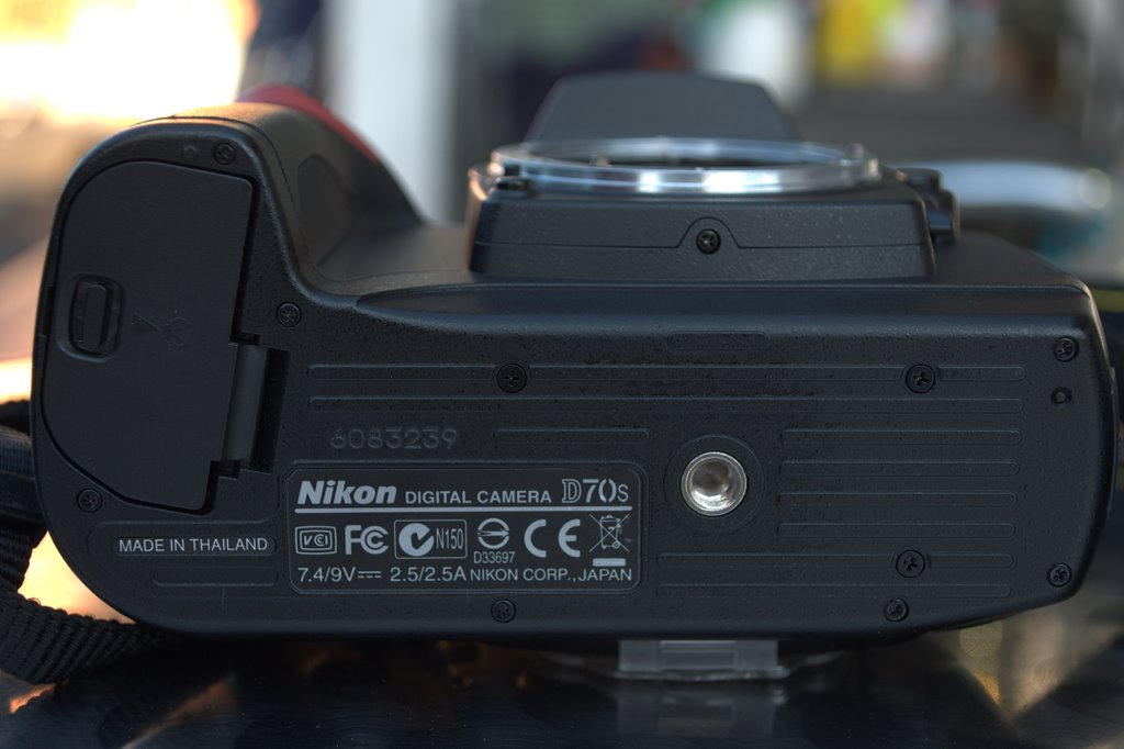 DSC_0185.NEF.jpg