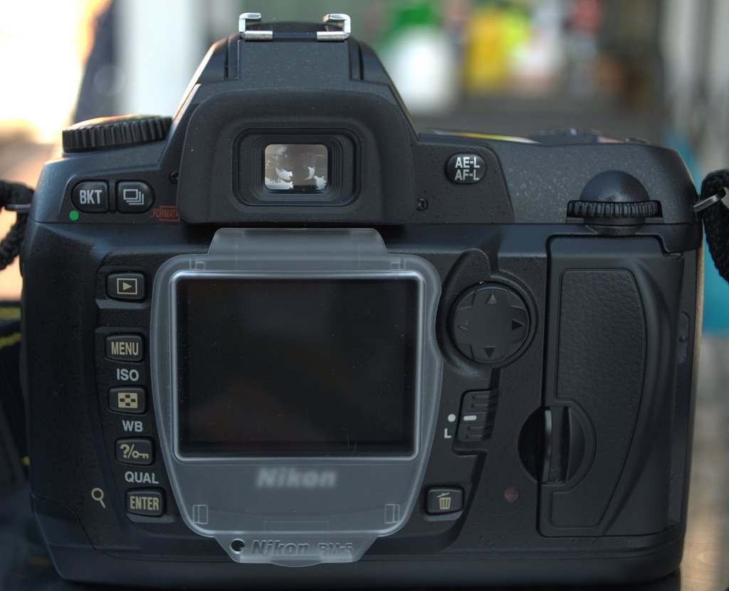 DSC_0187.NEF.jpg