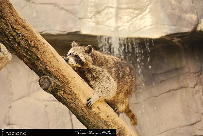 DSC_0188.JPG