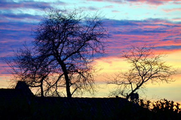 DSC_0199_orig.JPG