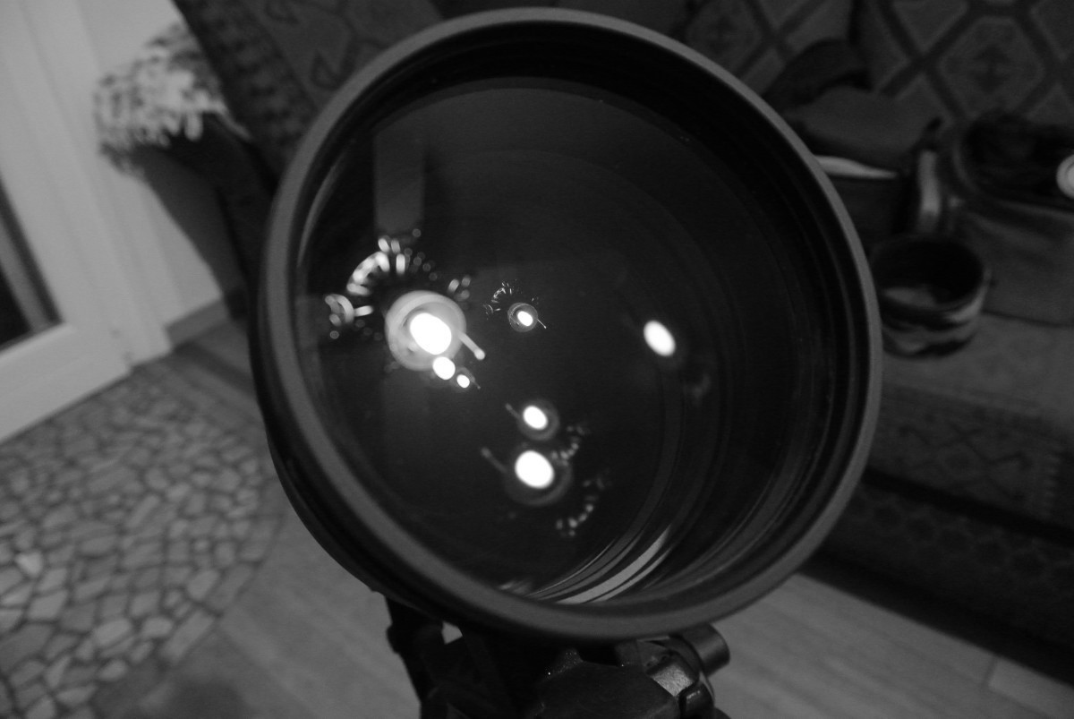 DSC_0204_BN.JPG