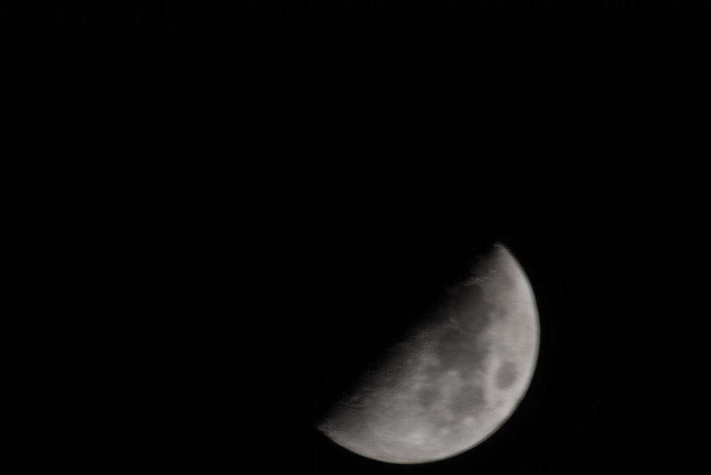 DSC_0207.jpg