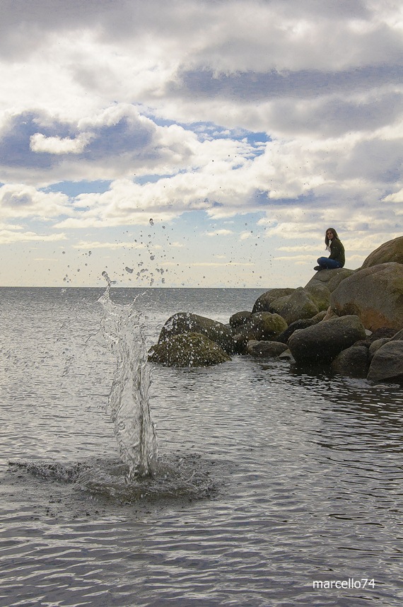 DSC_0226.jpg