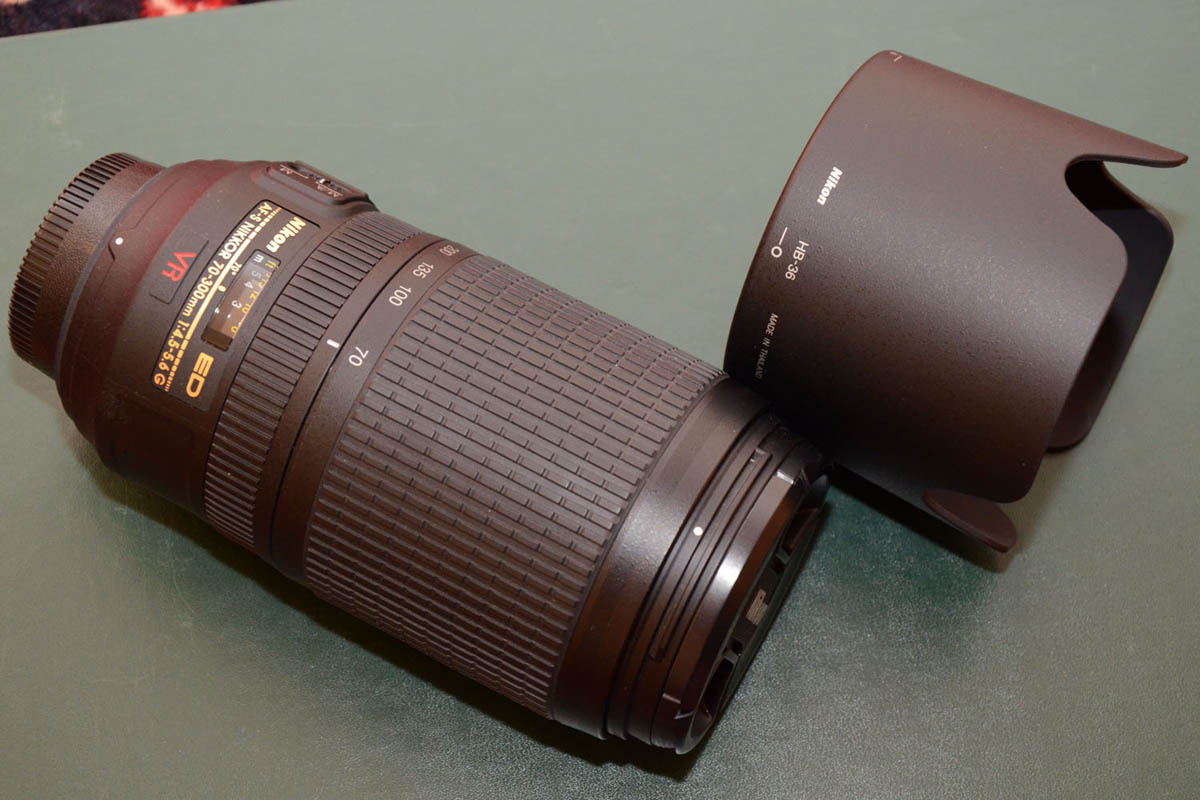 DSC_0228x.jpg