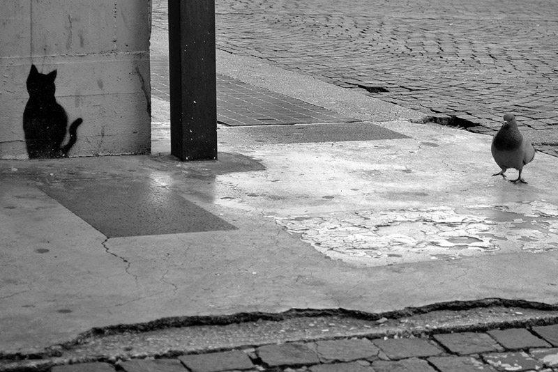 DSC_0258_BW2_P4U.jpg