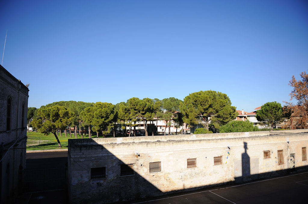 DSC_0283-v0.jpg