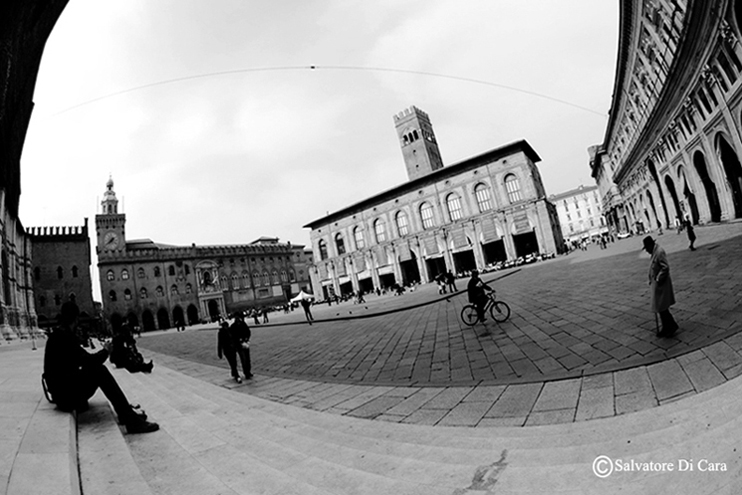 DSC_0312.jpg