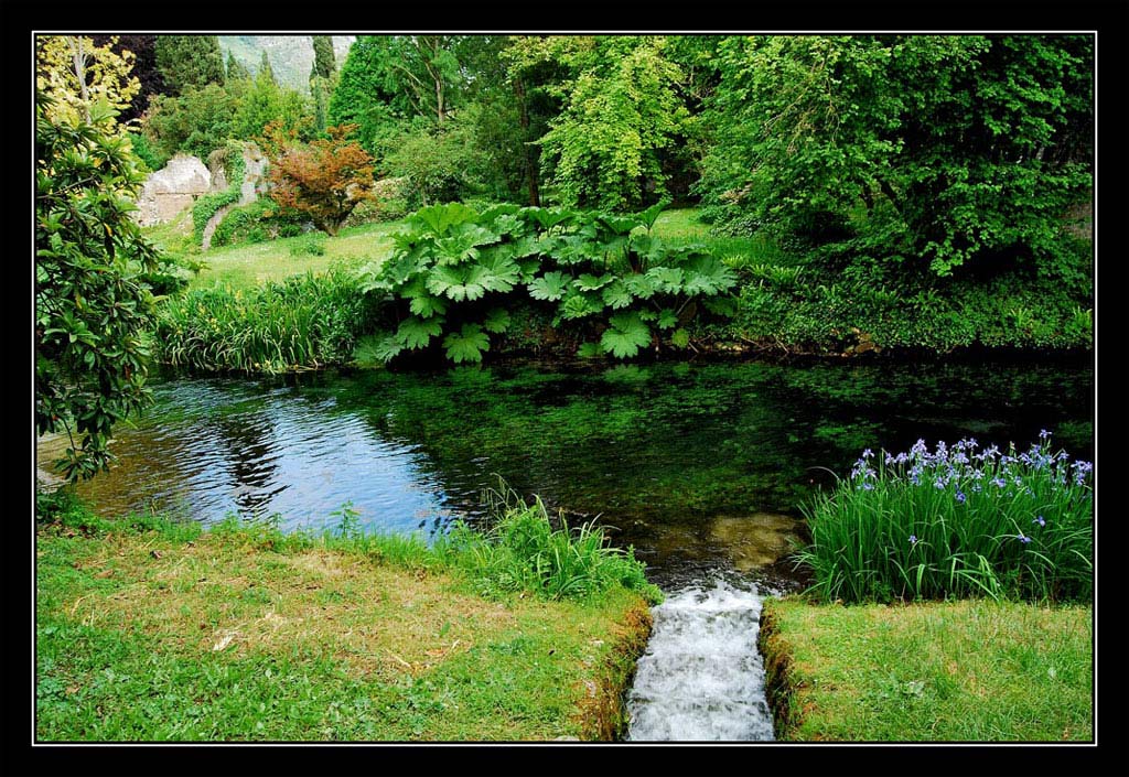 DSC_0320.jpg