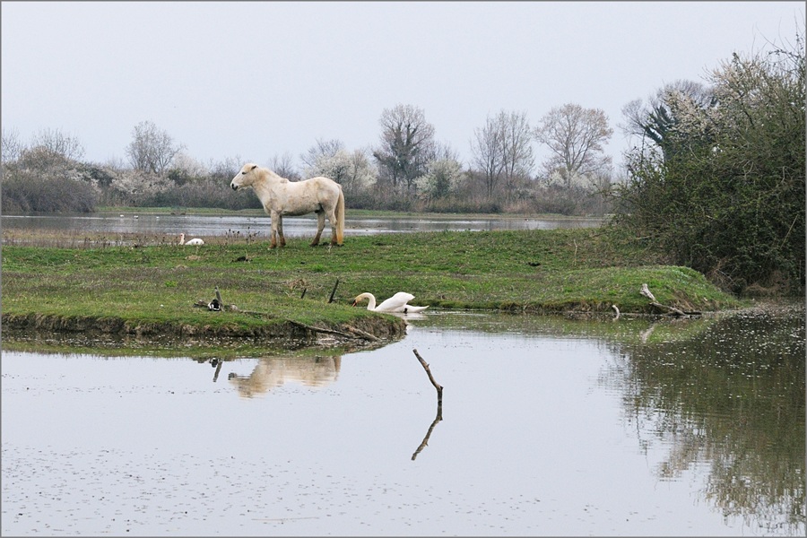 DSC_0321 rid.JPG