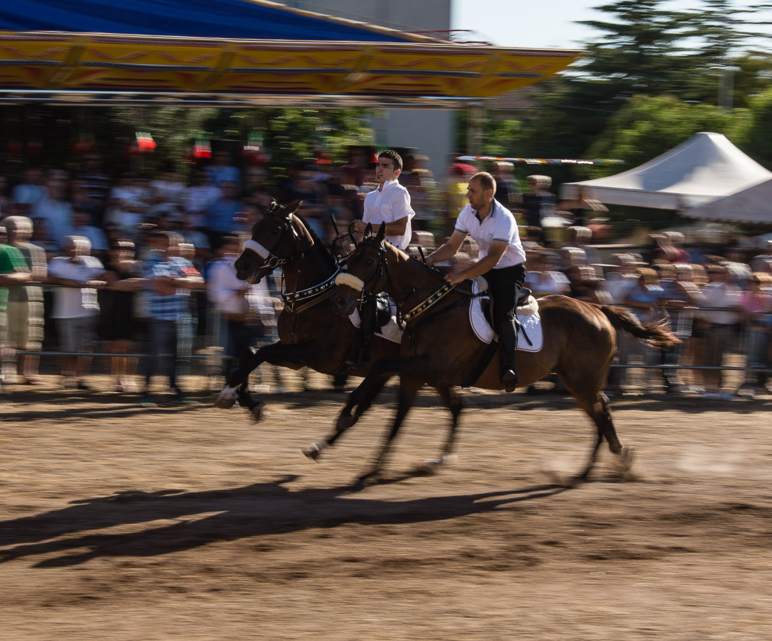 DSC_0330.jpg