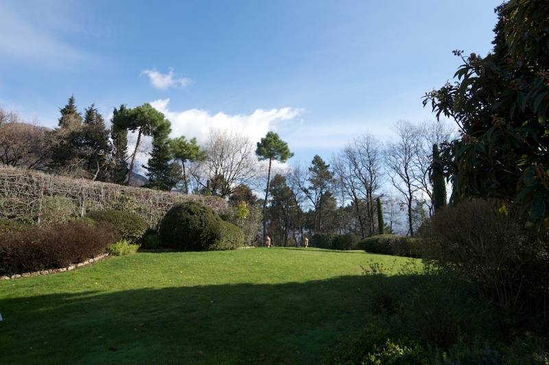 DSC_0341.jpg