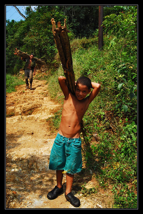 DSC_0341a.jpg