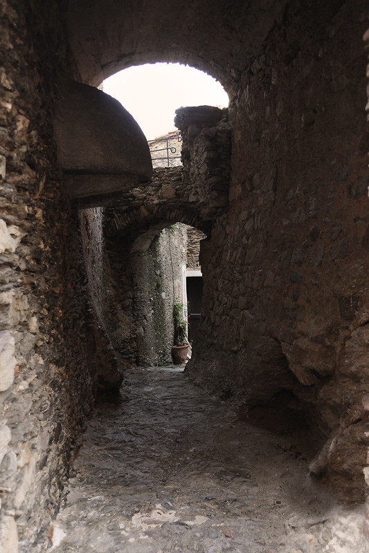 DSC_0351.jpg