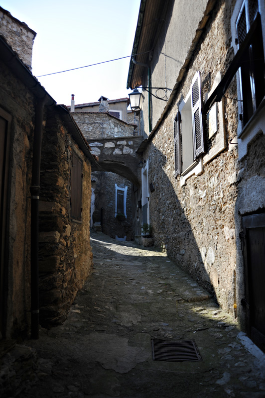 DSC_0353.jpg
