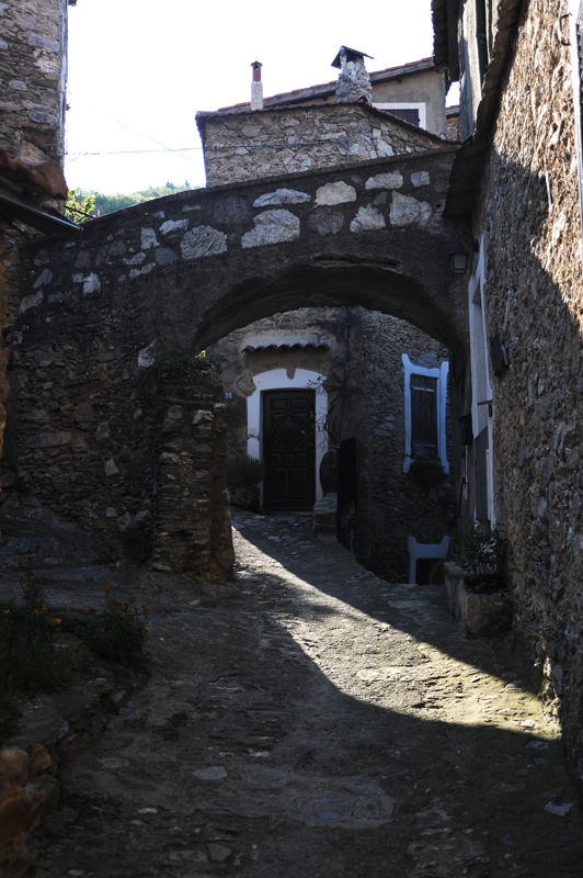 DSC_0354.jpg