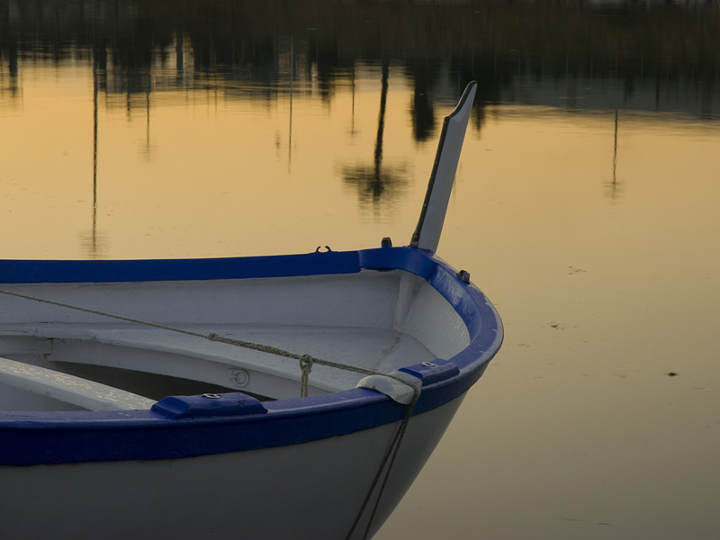DSC_0358b br.jpg