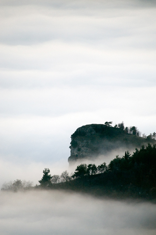 DSC_0364tagl.jpg