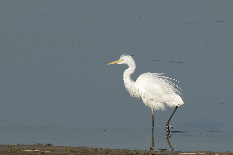 DSC_0449.jpg
