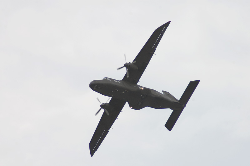 DSC_0458.jpg