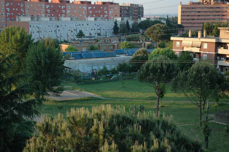 DSC_0516.jpg