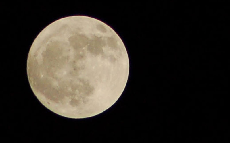 DSC_0521luna.jpg