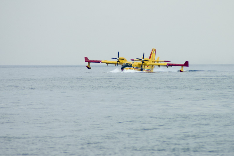 DSC_0531.jpg