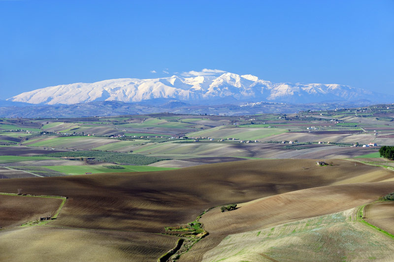 DSC_0551.jpg