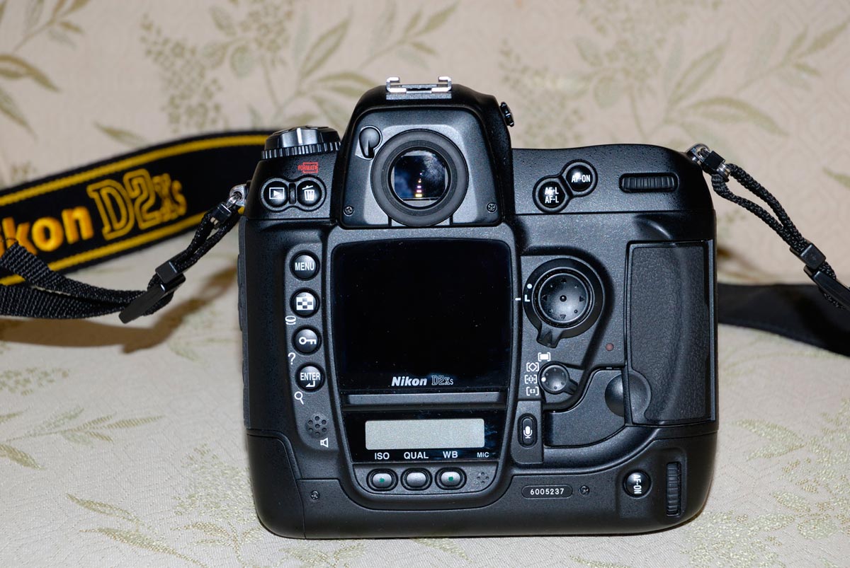 DSC_0567-web.jpg
