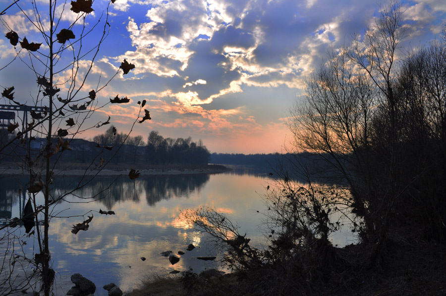 DSC_0590.jpg