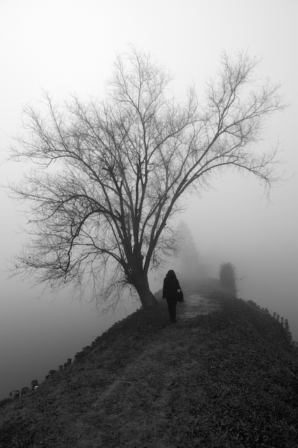 DSC_0607.jpg