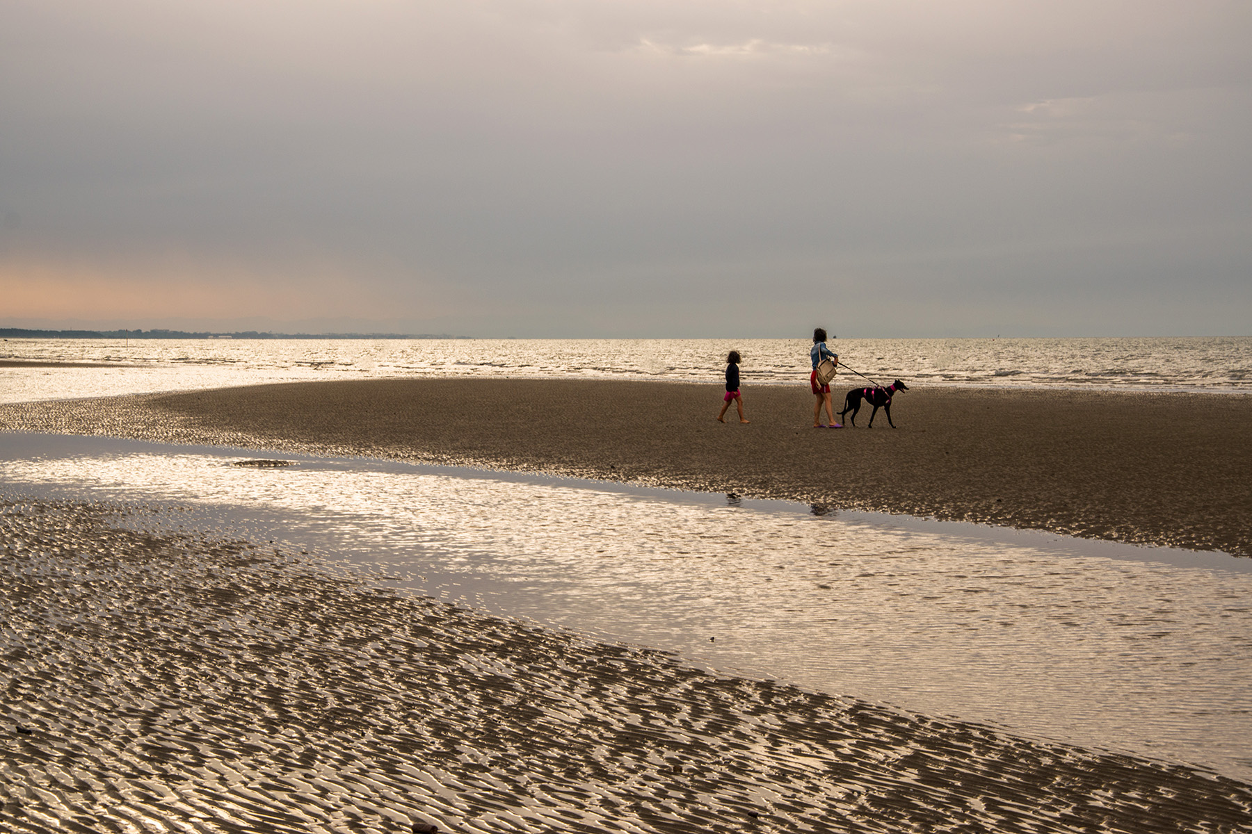 DSC_0613.jpg