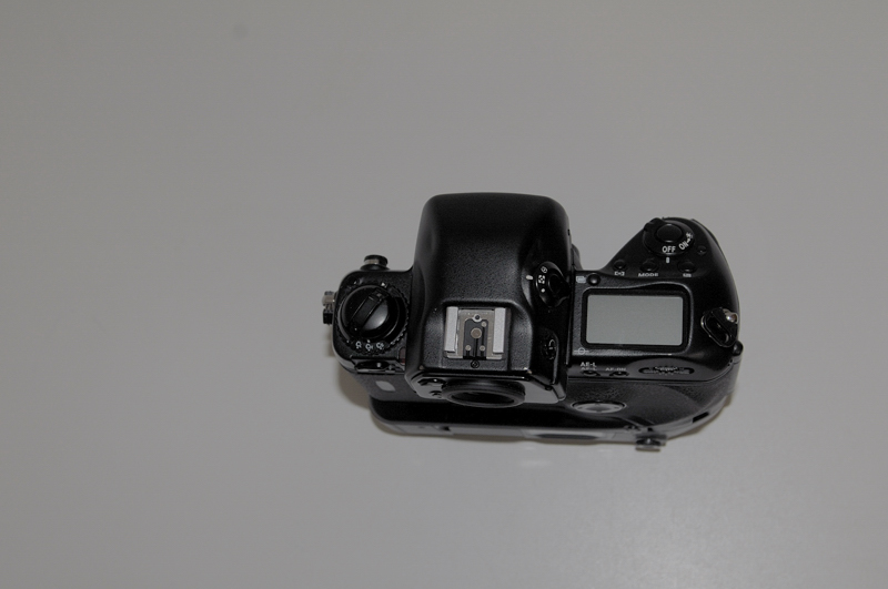 DSC_0613.jpg