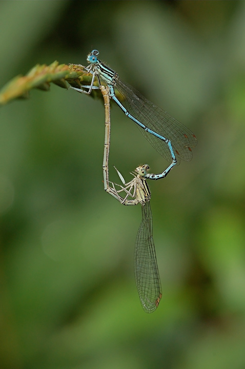 DSC_0620_2_2.jpg