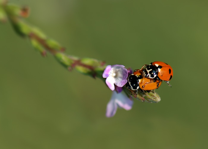 DSC_0645.jpg