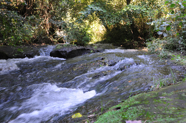 DSC_0719.jpg