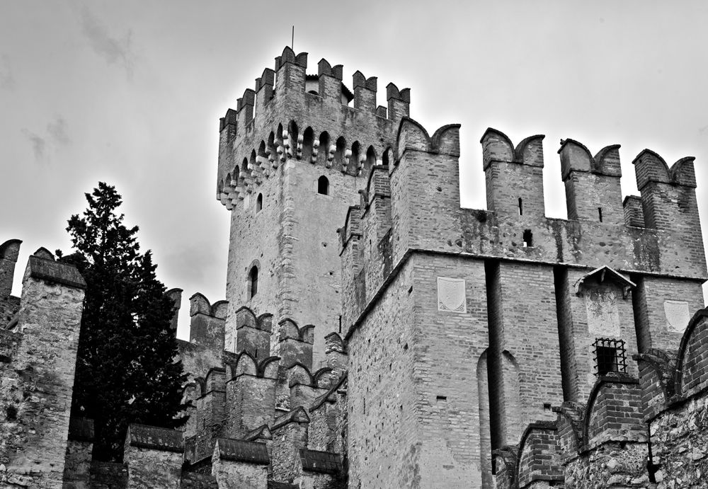 DSC_0780.jpg