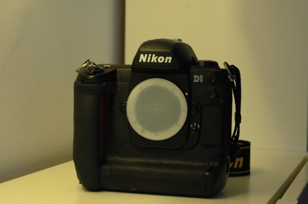 DSC_0781bis.JPG