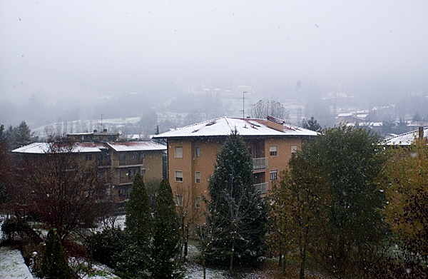 DSC_0794.jpg