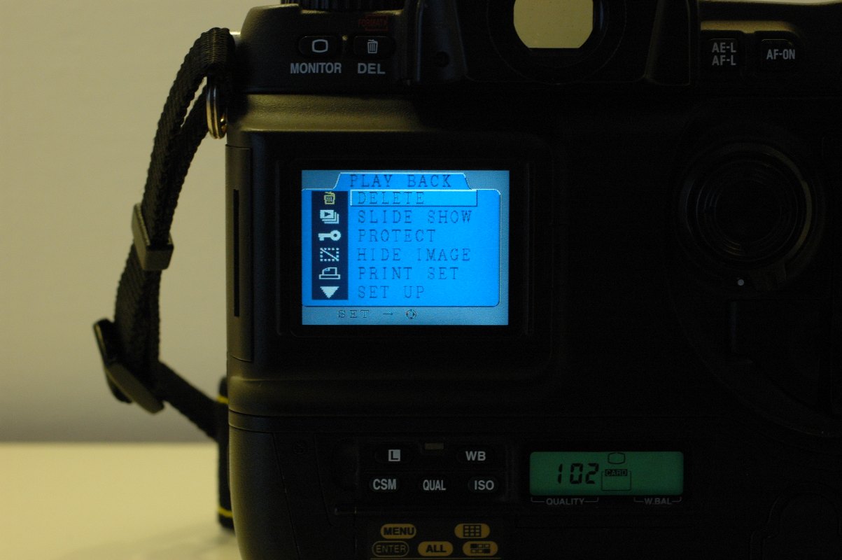 DSC_0798bis.JPG