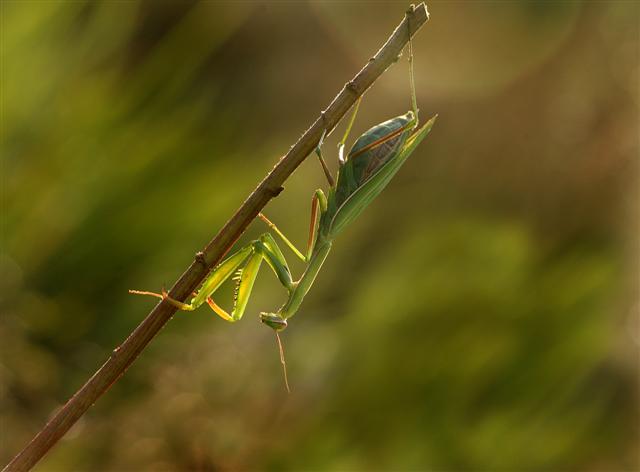DSC_0805 (Small).jpg