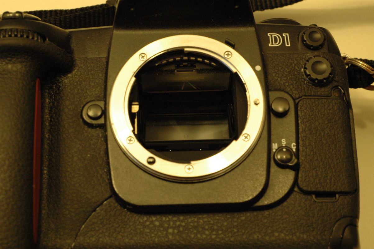 DSC_0808bis.JPG