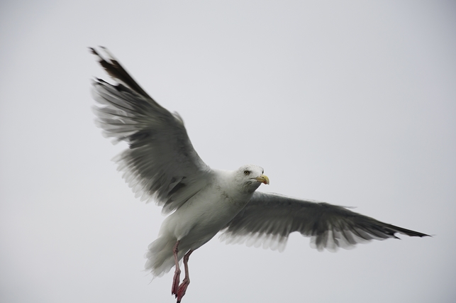 DSC_0845.jpg