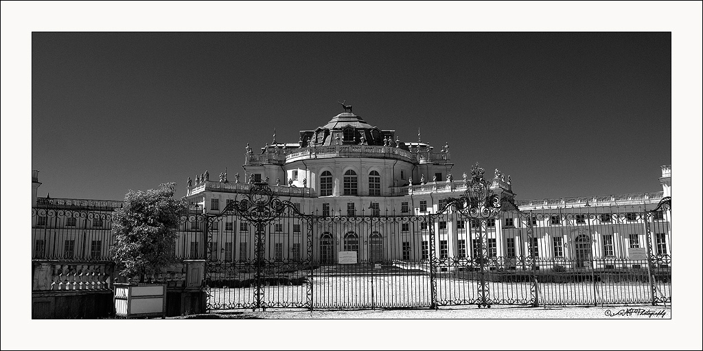 DSC_0869bis.jpg