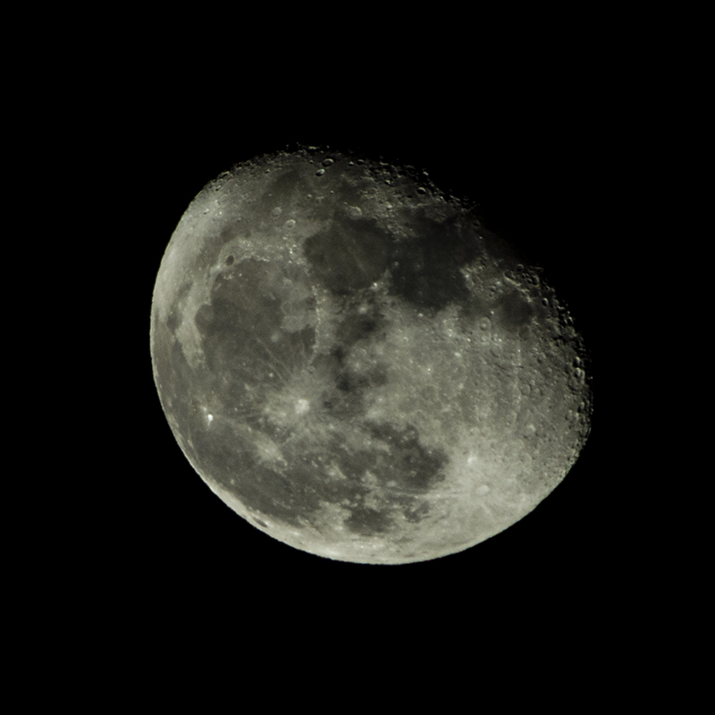 DSC_0902.jpg