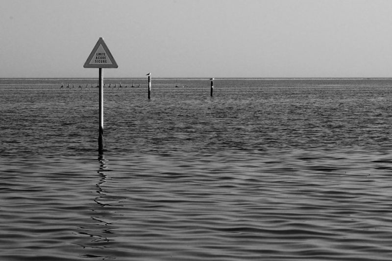 DSC_0907.jpg
