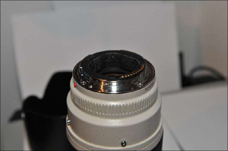 DSC_0961tn.jpg