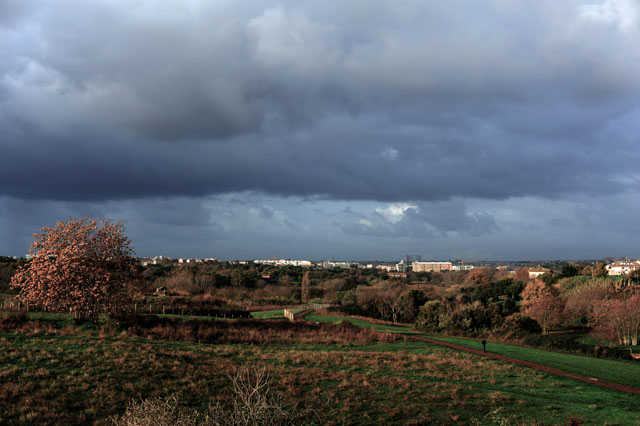 DSC_0974r.jpg