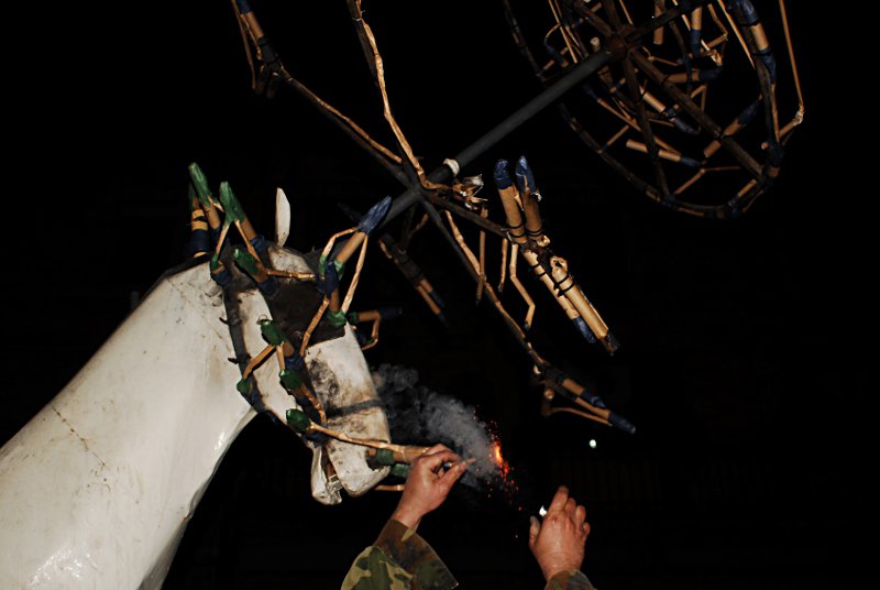 DSC_1002.JPG