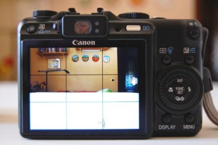 DSC_101cc.JPG