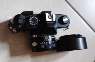 DSC_1023.JPG